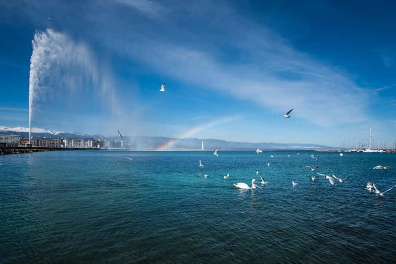 Geneva: Open-Top Sightseeing Bus Tour - Weather and comfort: open-top means plan for real conditions