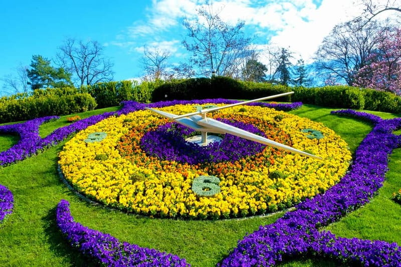 Geneva: Open-Top Sightseeing Bus Tour - Timing, departures every 45 minutes, and the all-day ticket trick