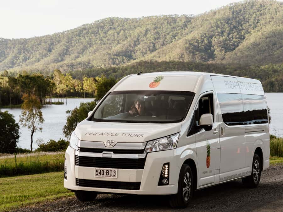Gold Coast: Daytime Glow Worm Caves and Hop-on Hop-off Tour - Tamborine Mountain photo stop and national park drive: quick hits, minimal walking