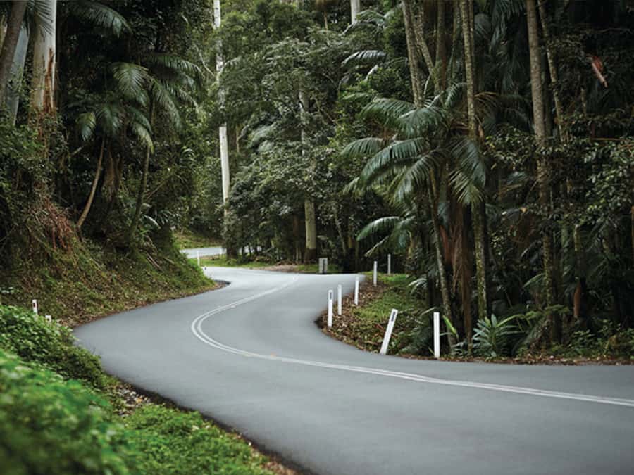 Gold Coast: Daytime Glow Worm Caves and Hop-on Hop-off Tour - Shopping time plus your hop-on hop-off afternoon: make the mountain your own