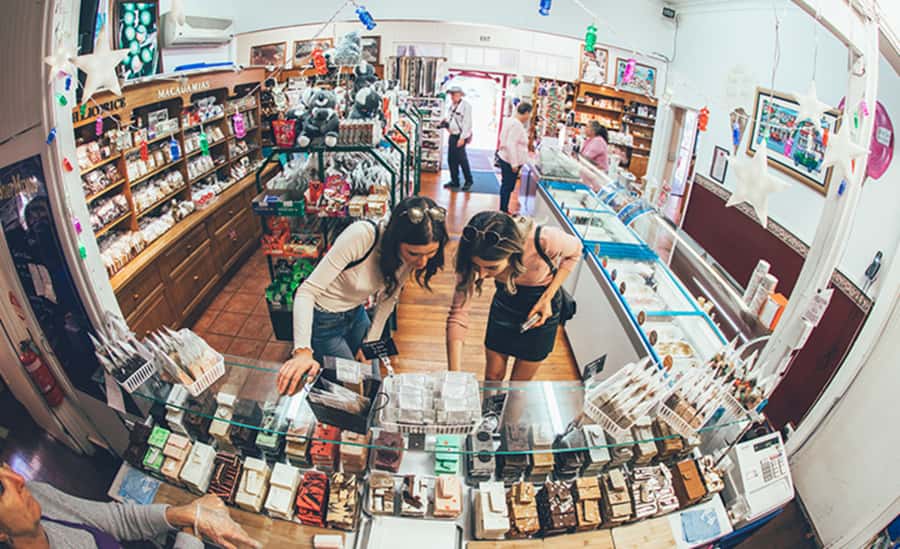 Gold Coast: Daytime Glow Worm Caves and Hop-on Hop-off Tour - Is this tour for you? A practical match list