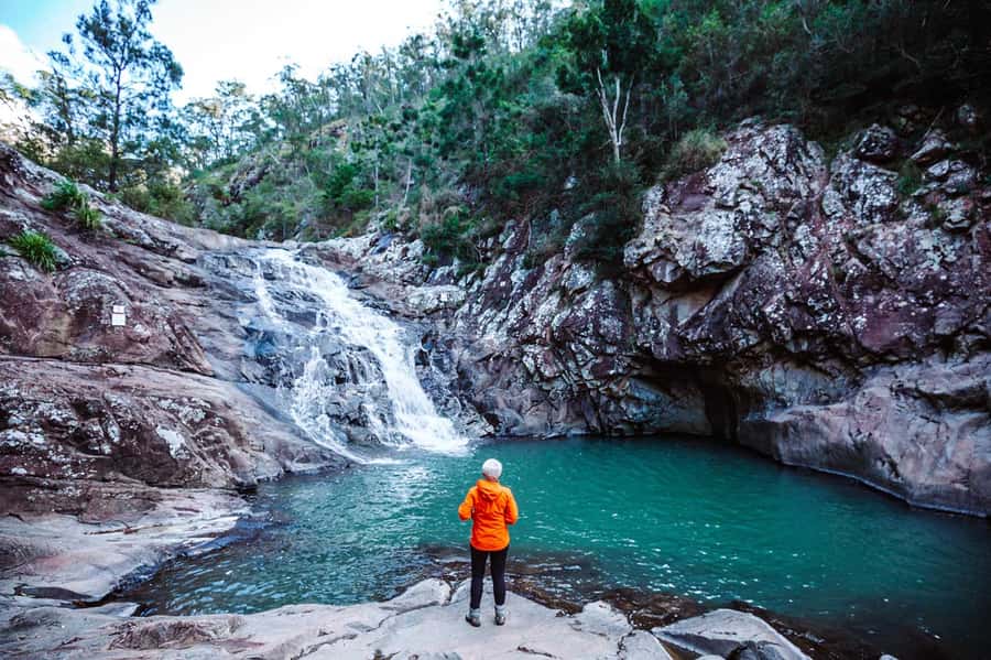 Gold Coast: Hop on Hop off Bus to Tamborine Mountain - Driver help that makes self-paced touring easier