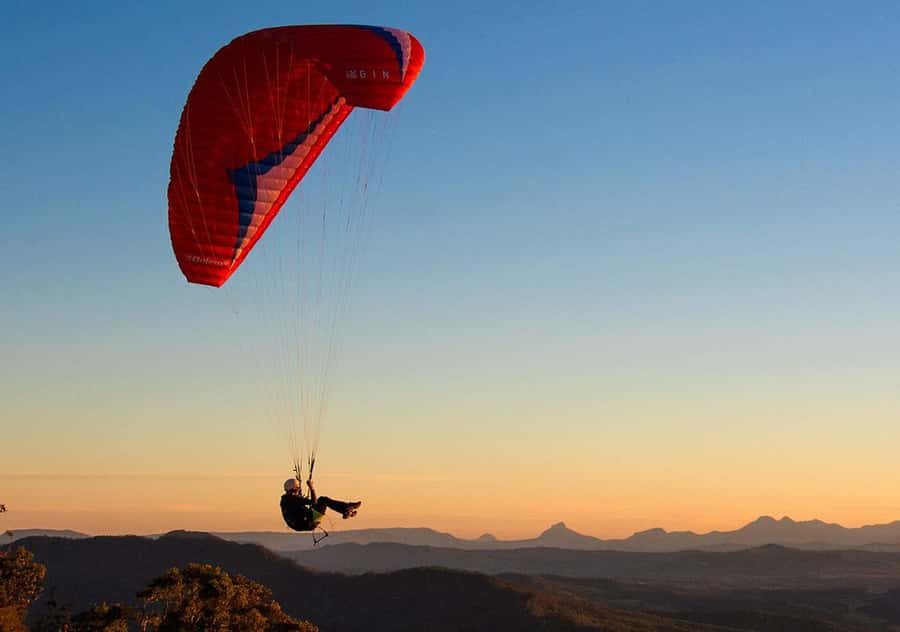 Gold Coast: Hop on Hop off Bus to Tamborine Mountain - Who should book this (and who might want a different plan)