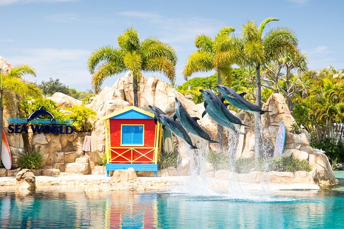 Gold Coast Hop On Hop Off Sightseeing Cruise 1 Day Pass - Why a ferry hop-on hop-off beats a typical tour day