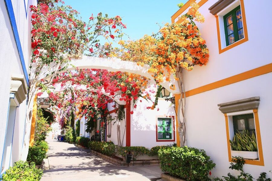 Gran Canaria: Full-Day Island Sightseeing Coach Tour - The coach ride: air-conditioned comfort and the reality of mountain roads
