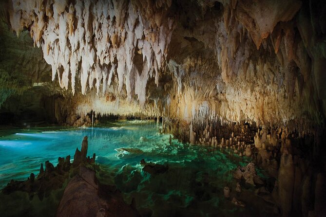 Grand Cayman Private Customized Bus Tour - Devil’s Grotto: Limestone Drama and a Natural-Formation Break