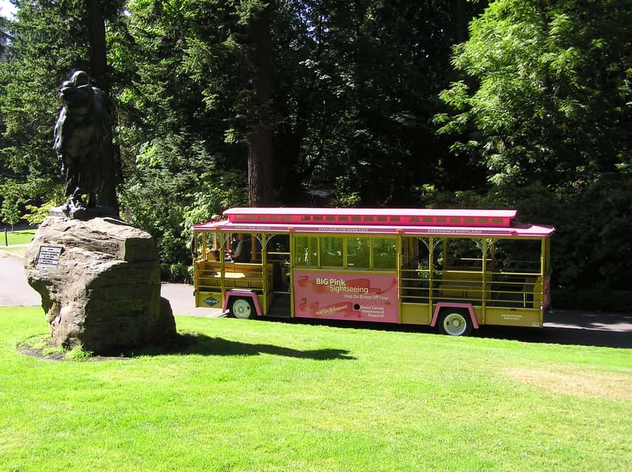 Gray Line Pink Trolley 2-Day Hop-On Hop-Off Tour Ticket - Budget Reality: Is $52 Worth It for a 2-Day Ticket?