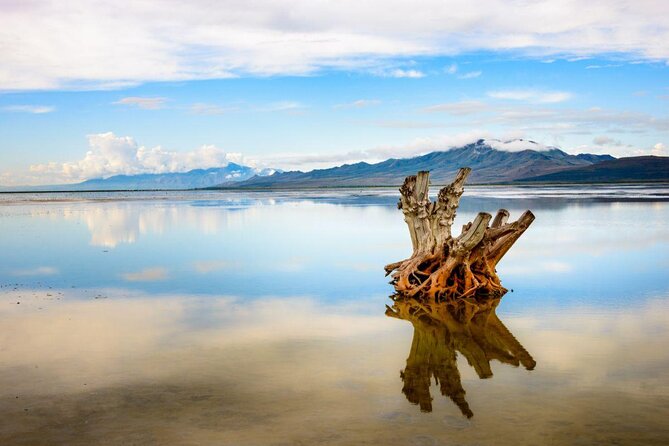 Great Salt Lake Guided Bus Tour from Salt Lake City - Quick takeaways before you go