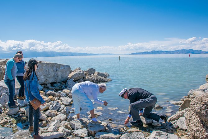 Great Salt Lake Guided Bus Tour from Salt Lake City - Swimming and floating: the fun part, plus the practical warnings