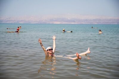 Great Salt Lake Guided Bus Tour from Salt Lake City - Great Salt Lake by land: what you’ll see during the lake hour