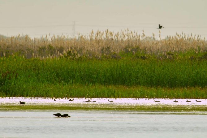 Great Salt Lake Guided Bus Tour from Salt Lake City - Who should book this tour, and who should rethink it