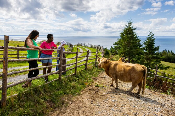 Guided Highland Village and Baddeck Bus Tour for Cruise Excursion - Who This Tour Suits Best (And Who Might Want a Different Plan)