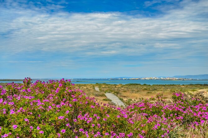 Guided Nature Tour & Hop On Hop Off 3 Islands - Why This Faro Island Hopping Day Feels Like Real Portugal