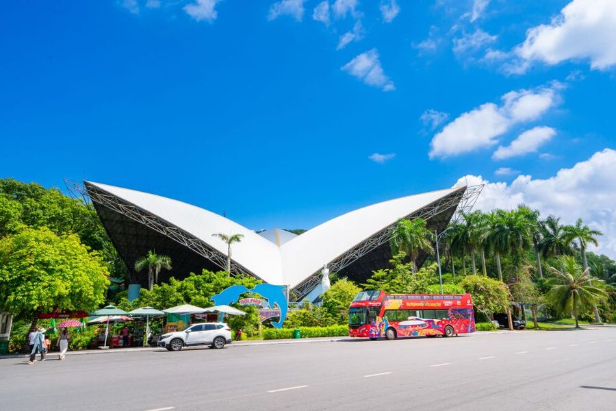 Ha Long: City Sightseeing Hop-On Hop-Off Bus Tour - Who this bus tour suits best