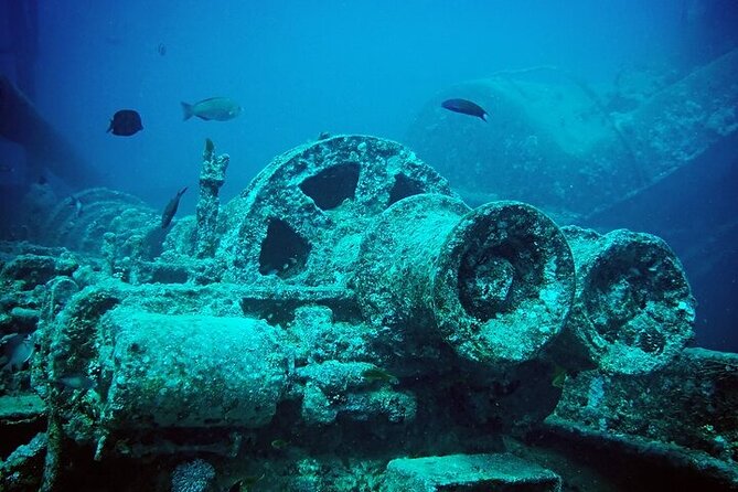 Half Day Bus Tour of Ras Mohammed National Park From Sharm Hotels - Price and What You’ll Still Pay After Booking
