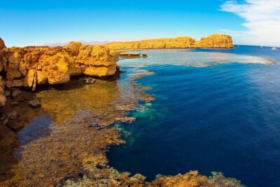 Half day bus tour of Ras Mohammed Park and Magic Lake From Sharm - Suez Gulf Snorkeling and Coral Gardens: What You Really Get