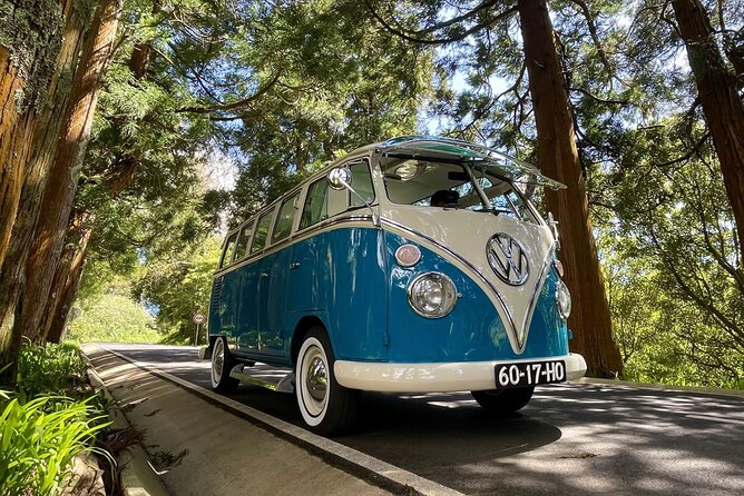 Half-Day VW Samba Private Bus Tour around Faial Island - Stop 4: Monte da Guia walking trail for Horta panoramas