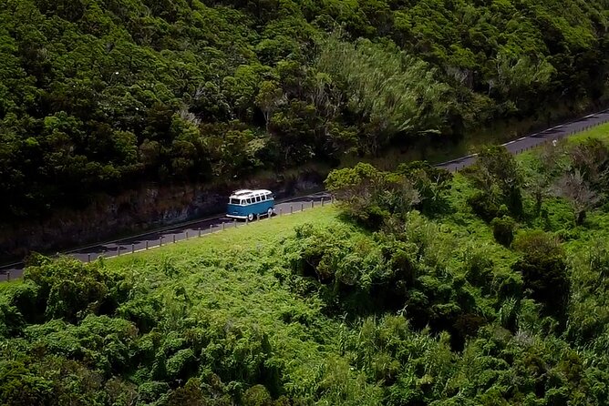 Half-Day VW Samba Private Bus Tour around Faial Island - Price and value: what $518.27 per group really buys