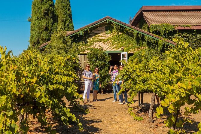 Half-Day Wine Tour Plus Hop-On Hop-Off Bus Pass - Vehicle comfort: the part that can make or break the experience