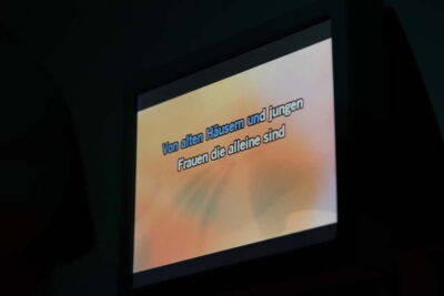Hamburg: 1.5-Hour International Karaoke Bus Tour - How the 90 Minutes Plays Out on Board