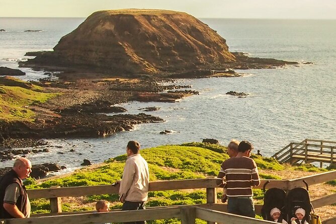 Healesville Sanctuary And Phillip Island Wildlife Bus Tour - The Nobbies Centre and Seal Rock Precinct: Sea Views and Big Coastal Energy