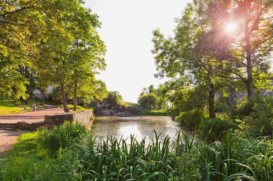 Helsinki: Suomenlinna and Lonna Hop-on Hop-off Cruise - Practical details that make or break the day