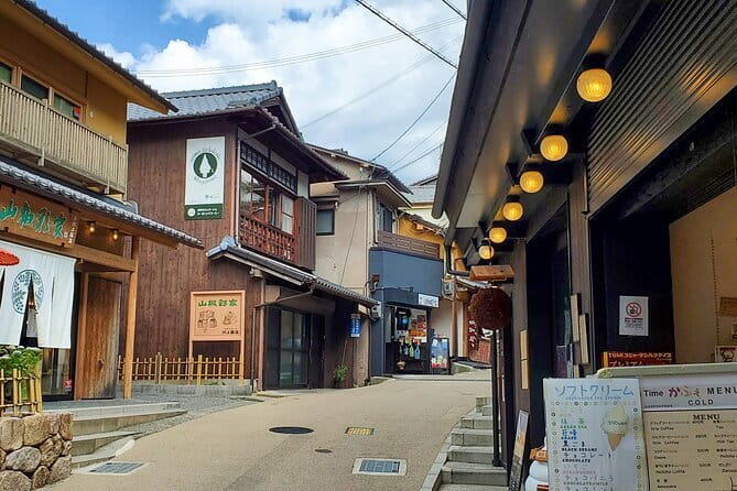 Himeji Castle, Arima Onsen & Mt. Rokko: 1-Day Bus Tour from Osaka - Himeji Castle and the White Heron stairs you’ll feel in your legs