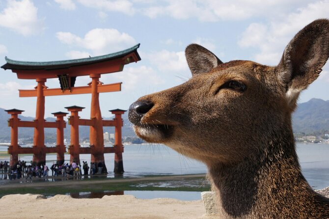 Hiroshima and Miyajima Bus Tour with Indian Lunch - Ferry Time to Miyajimaguchi: The Great Torii Shot From the Water