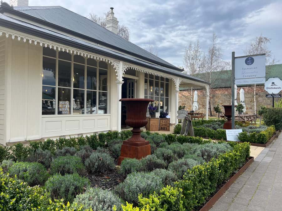 Historic Richmond Village Half-Day Coach Tour - Coach ride from Hobart: how you’ll get oriented without losing time