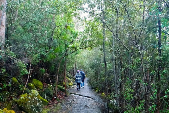 Hobart Hop-On Hop-Off Bus & kunanyi/Mt Wellington Tour - Should you book? My practical take