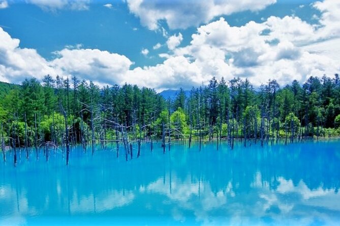 Hokkaido Asahiyama Zoo, Furano and Biei Bus Tour - Key highlights (what makes this day work)