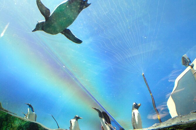 Hokkaido Asahiyama Zoo, Furano and Biei Bus Tour - Shirogane Blue Pond and the blue that shows up twice