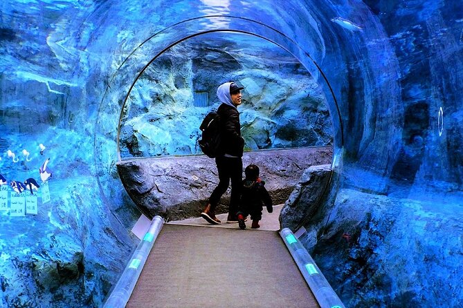 Hokkaido Asahiyama Zoo, Furano and Biei Bus Tour - Service-area breaks, app interpretation, and how you’ll actually feel on the bus