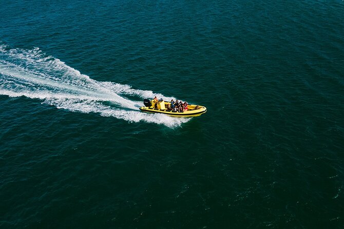Hop On Hop Off 3 Islands: Deserta, Farol and Culatra - Faro’s quick route to the Ria Formosa islands