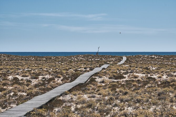 Hop On Hop Off 3 Islands: Deserta, Farol and Culatra - Ilha do Farol: Santa Maria lighthouse and a fisherman’s safe haven