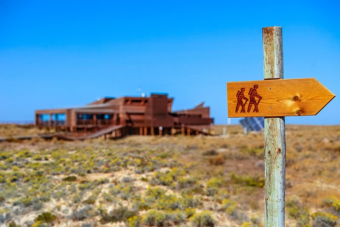 Hop On Hop Off 3 Islands: Deserta, Farol and Culatra - The beach reality check (so you’re not disappointed)