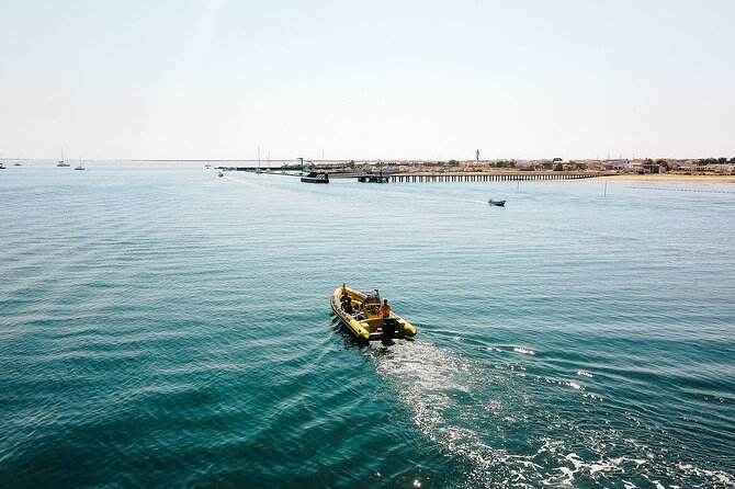 Hop On Hop Off 3 Islands: Deserta, Farol and Culatra - Comfort, timing, and small choices that make a big difference