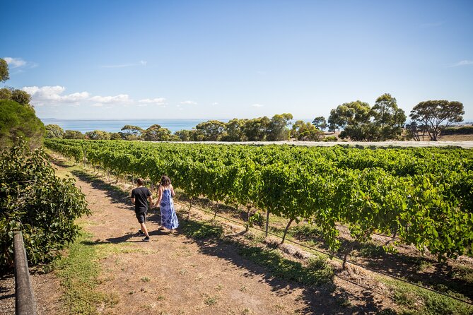 Hop On Hop Off Bellarine Bellarine Peninsula - Picking your day: how to choose up to four venues from the timetable