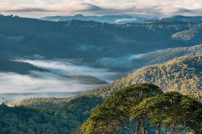 Hop on Hop Off Bus - Tamborine Mountain - A scenic rim lookout for paragliders and hangliders