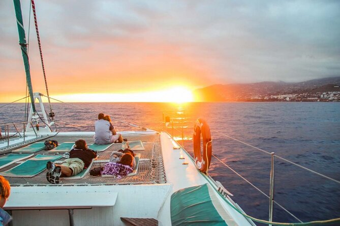 Hop-on Hop-off Bus Tour and Catamaran Whale & Dolphin Watching - Key points to know before you go
