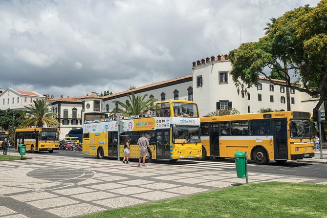 Hop-on Hop-off Bus Tour and Catamaran Whale & Dolphin Watching - Audio guide + timing: small friction points to plan around
