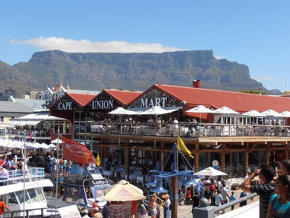 Hop-On Hop-Off Cape Town Canal Cruise - Quick hits before you board