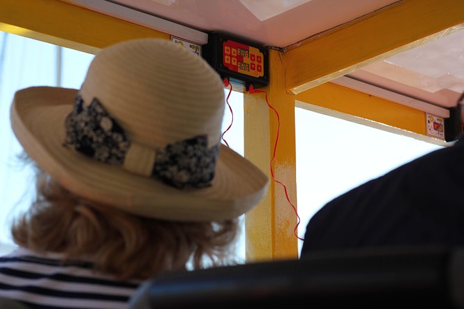 Hop-On Hop-Off Cape Town Canal Cruise - Views You’ll Actually Remember