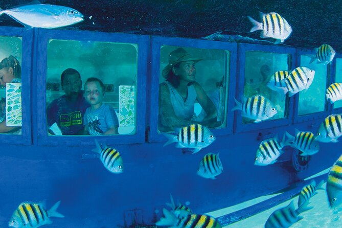 Hop-on Hop-off City Tour Cancun plus Submarine or Bodyboard Experience - Choosing Subsee Explorer vs Flowrider/Bodyboard