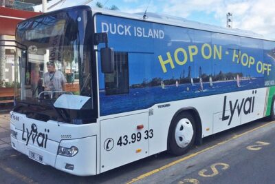 Hop-On Hop-Off / HOHO / All Day Pass (return ticket's) - Pickup at the Cruise Terminal: How to Start Smoothly