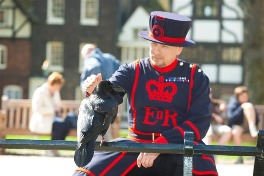Hop on Hop off London Bus Tour & Tower of London - Quick hits you should know