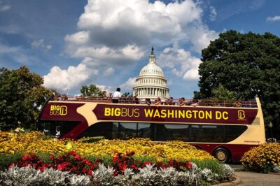 Hop-on Hop-off Sightseeing Tour by Open-top Bus with 18 Stops - The must-know logistics: stops, timing, and how not to lose your day