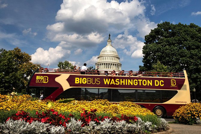 Hop-on Hop-off Sightseeing Tour by Open-top Bus with 18 Stops - The must-know logistics: stops, timing, and how not to lose your day