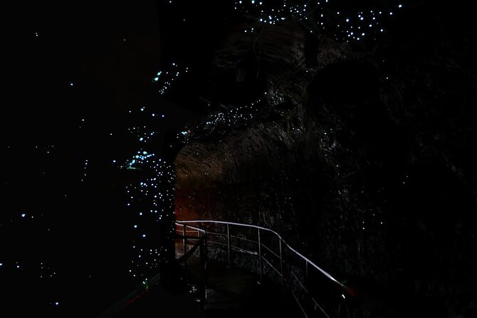 Hop on Hop off - Tamborine Rainforest Skywalk + Glow Worm Caves - Key things I’d plan around