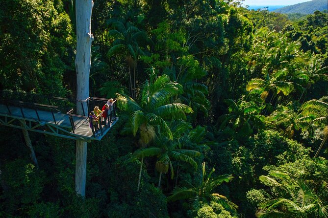 Hop on Hop off - Tamborine Rainforest Skywalk + Glow Worm Caves - The Hop on Hop off Loop at Tamborine Mountain